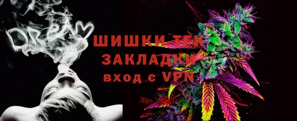 ГАЛЛЮЦИНОГЕННЫЕ ГРИБЫ Алексин