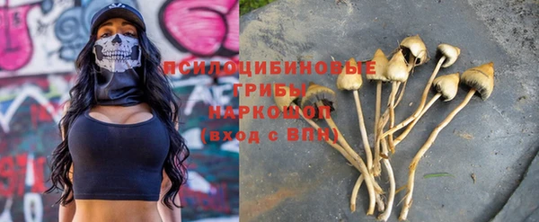 ГАЛЛЮЦИНОГЕННЫЕ ГРИБЫ Алексин