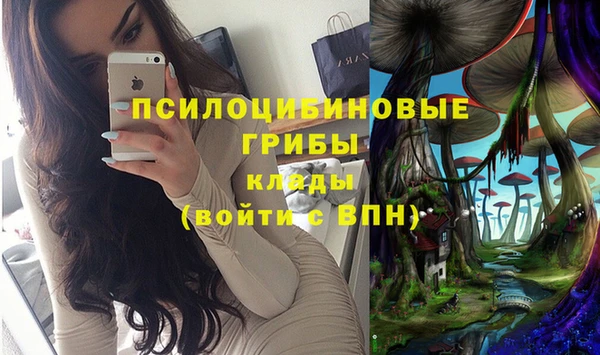 каннабис Алексеевка