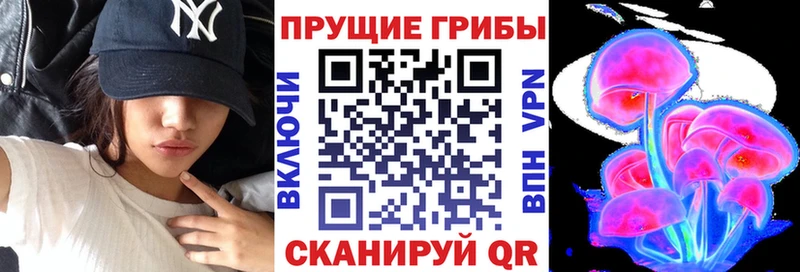 Псилоцибиновые грибы MAGIC MUSHROOMS Павловская